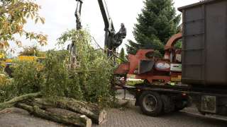 invoeren van takken in een versniperaar er past tot 20 cm diameter hout in